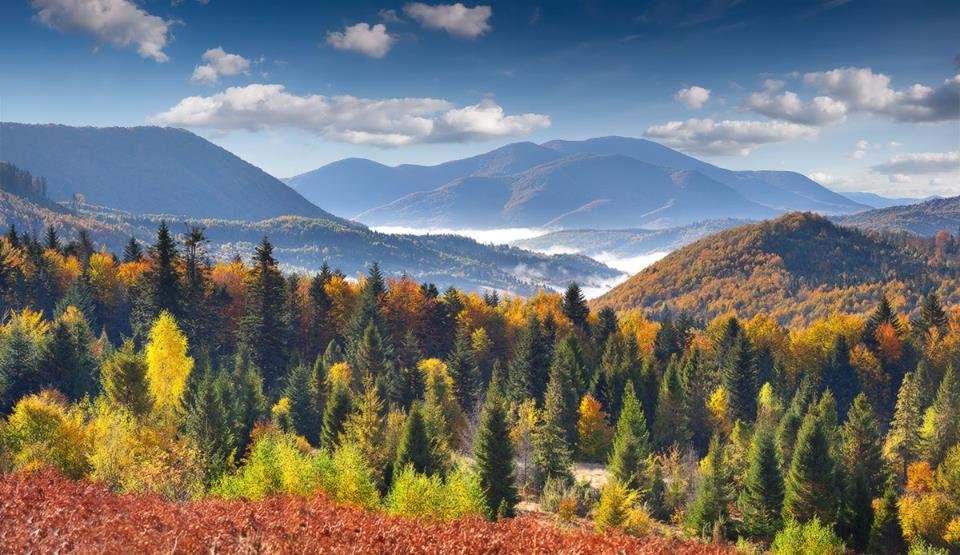 Закарпаття